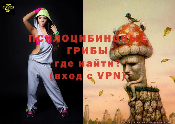spice Алексин