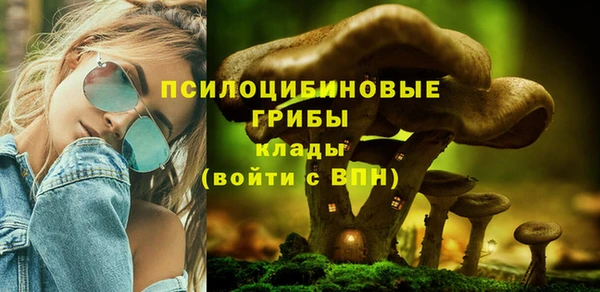 spice Алексин
